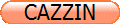 CAZZIN