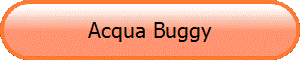 Acqua Buggy
